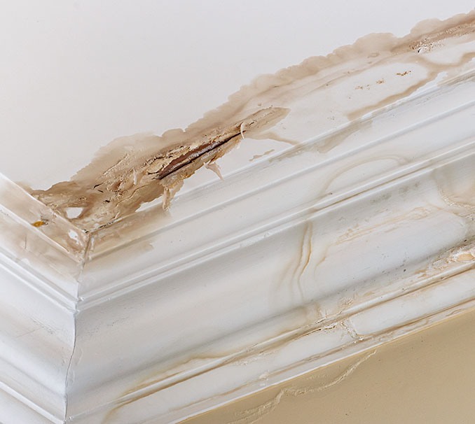 structual drying after flood damage Las Vegas NV 89130