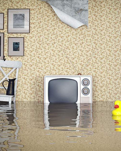 water damage clean up living room Las Vegas NV 89130
