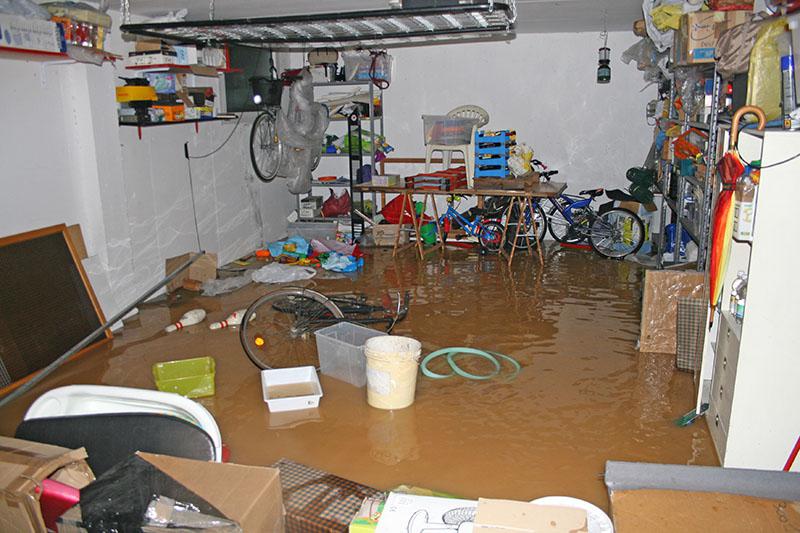 water damage repair las vegas nv elite service Las Vegas NV 89130 water damage repair las vegas nv elite service Las Vegas NV 89130